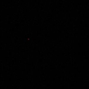 Meet your Posher, Carla